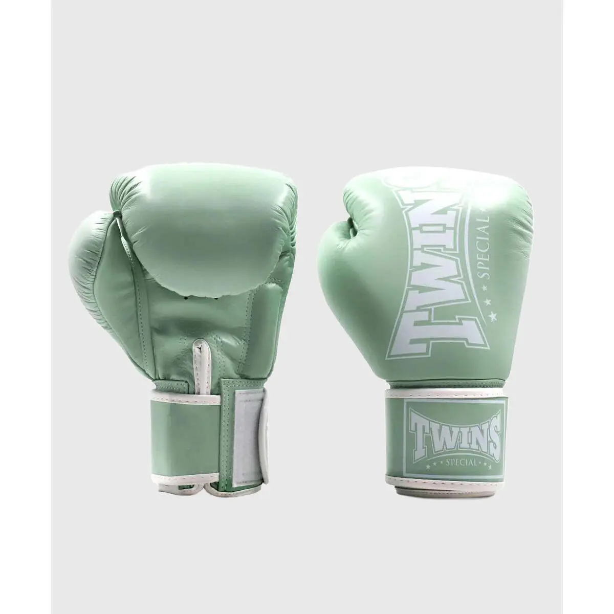 Boxhandschuhe Twins Special BGVL4P